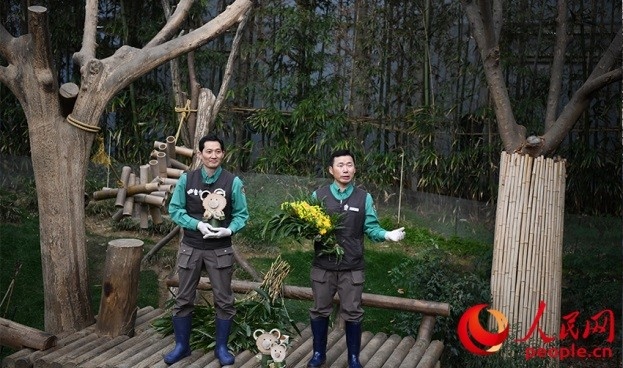 熊貓飼養(yǎng)員姜哲遠(yuǎn)和宋永寬向媒體介紹為“福寶”準(zhǔn)備的送別禮物。人民網(wǎng) 李帆攝