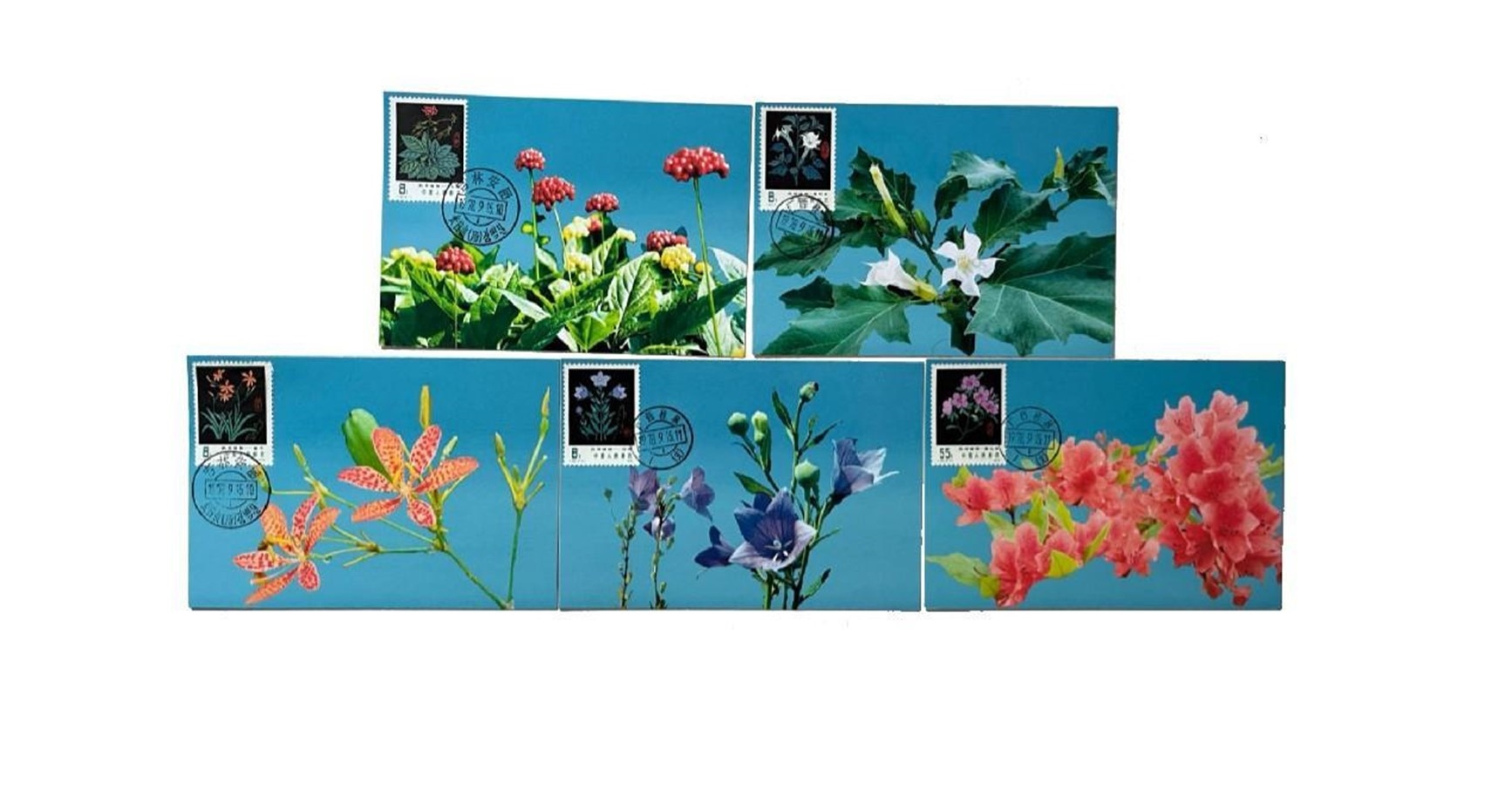 首套藥用植物極限片。第七屆阿聯(lián)酋集郵展主辦方供圖