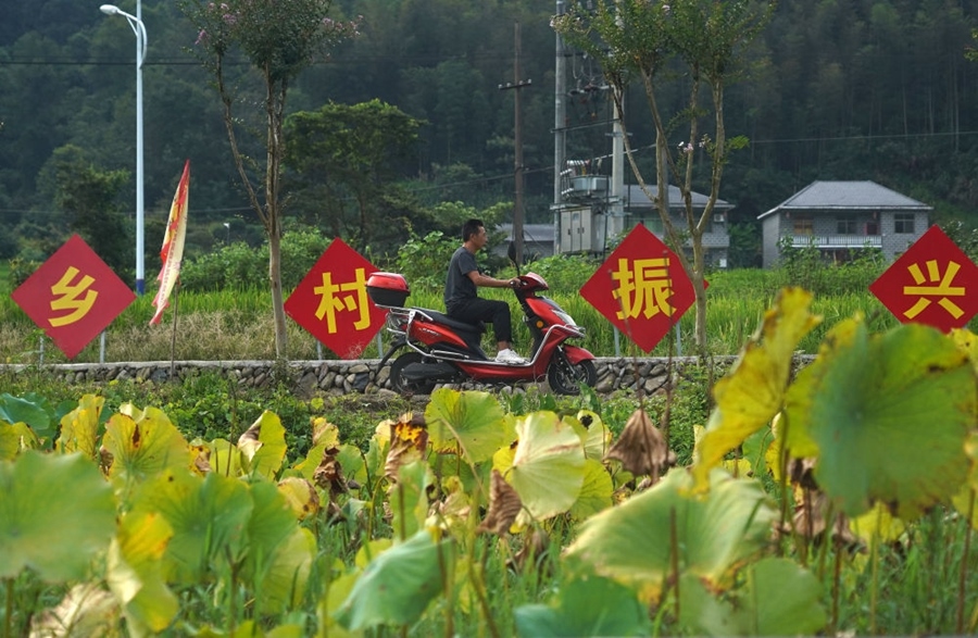 2023年8月24日拍攝的江西省靖安縣璪都鎮(zhèn)港背村一景。該村在當(dāng)?shù)卣С窒?，修古建，建民宿，搞開(kāi)發(fā)，引進(jìn)竹筏漂流、觀光采摘、農(nóng)耕體驗(yàn)、森林研學(xué)等多種旅游業(yè)態(tài)，建成新田園生態(tài)度假小鎮(zhèn)，發(fā)展鄉(xiāng)村旅游，走上致富路。