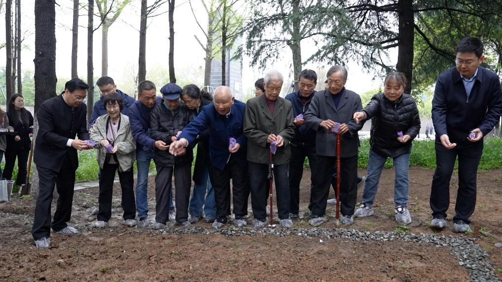 南京大屠殺幸存者代表、死難者遺屬代表等在紀(jì)念館的和平公園里，播撒下紫金草的種子。新華社記者林凱 攝