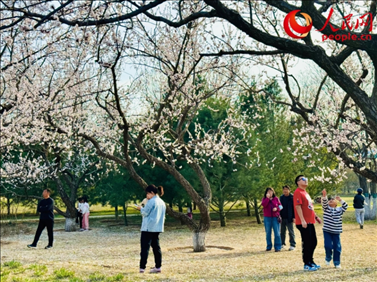 游客在北京長陽公園賞花。人民網(wǎng)記者 劉微攝