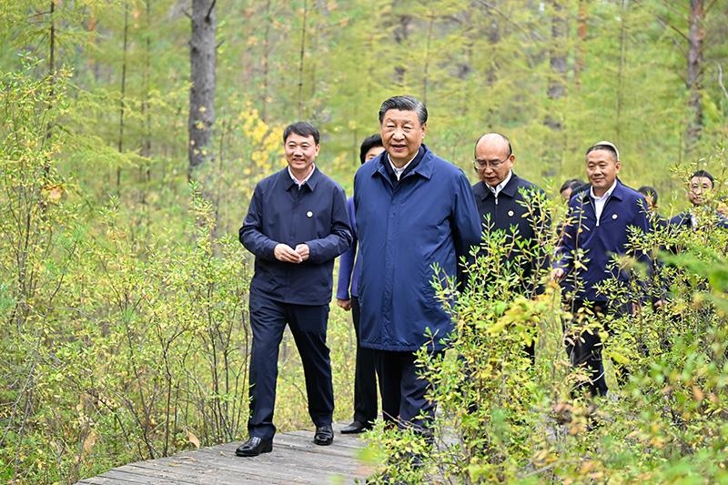 △2023年9月6日，習(xí)近平總書(shū)記在大興安嶺地區(qū)漠河市漠河林場(chǎng)自然林區(qū)考察。
