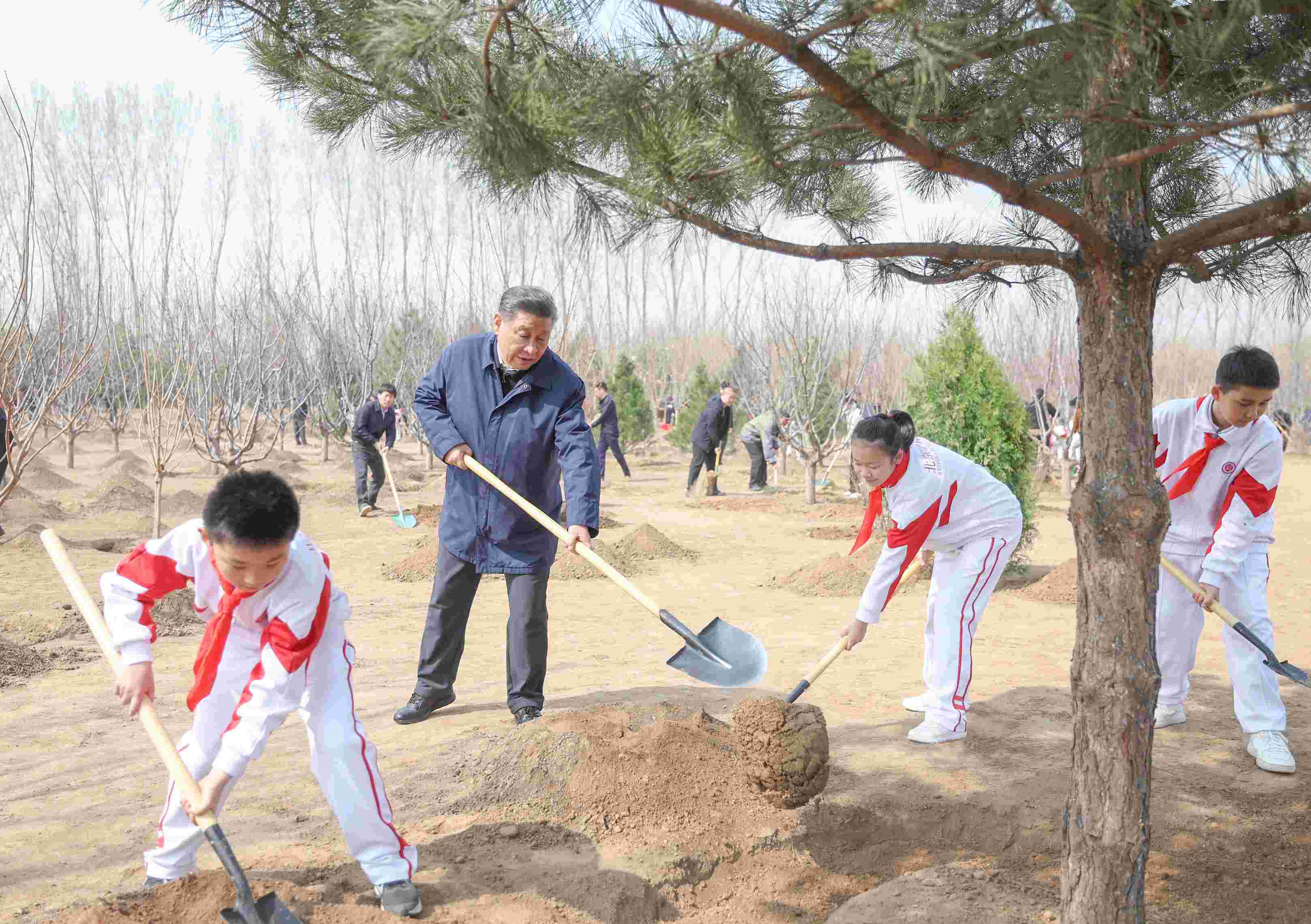 2024年4月3日，習(xí)近平總書記來(lái)到北京市通州區(qū)潞城鎮(zhèn)參加首都義務(wù)植樹活動(dòng)。