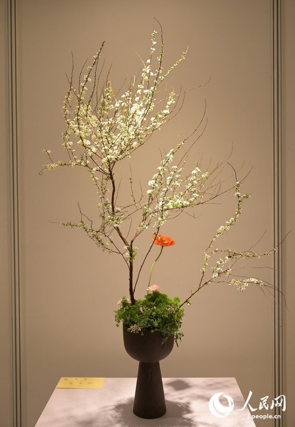 插花作品。人民網(wǎng) 玄番登史江攝