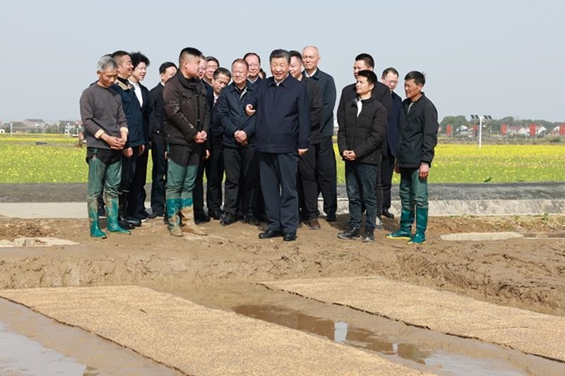 △2024年3月19日，在湖南常德市鼎城區(qū)謝家鋪鎮(zhèn)港中坪村，習(xí)近平總書記走進(jìn)田間，察看秧苗培育和春耕備耕進(jìn)展。