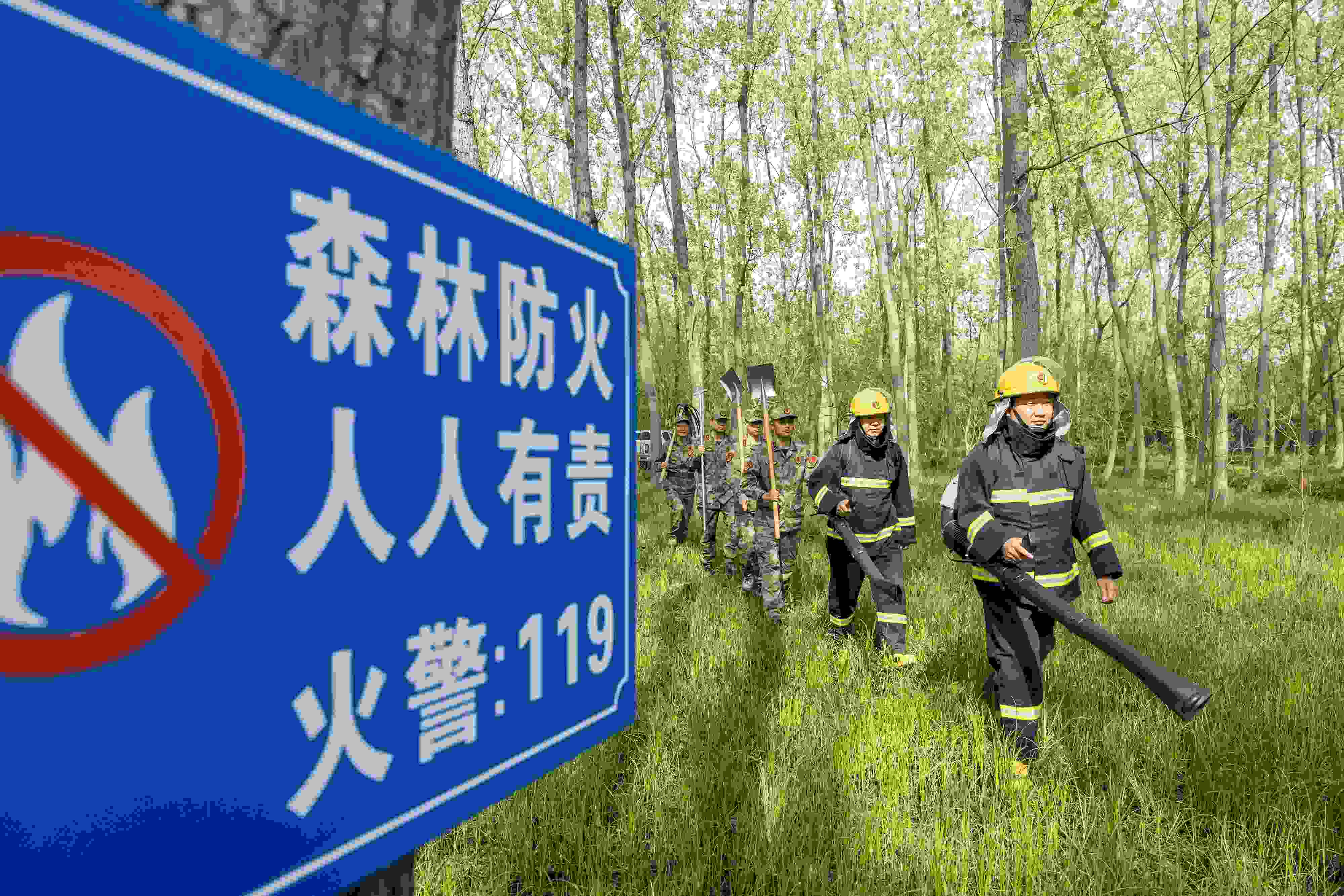 2024年4月9日，合肥市大房郢水庫水源保護(hù)地廬陽經(jīng)濟(jì)開發(fā)區(qū)段，基干民兵正在林間巡查火災(zāi)隱患。