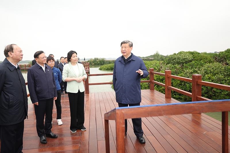 △2023年4月10日，習(xí)近平總書記在廣東湛江市麻章區(qū)湖光鎮(zhèn)金牛島紅樹林片區(qū)考察。