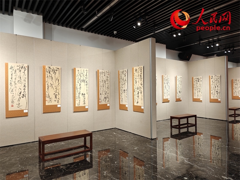 展廳現(xiàn)場。人民網(wǎng)記者 韋衍行攝
