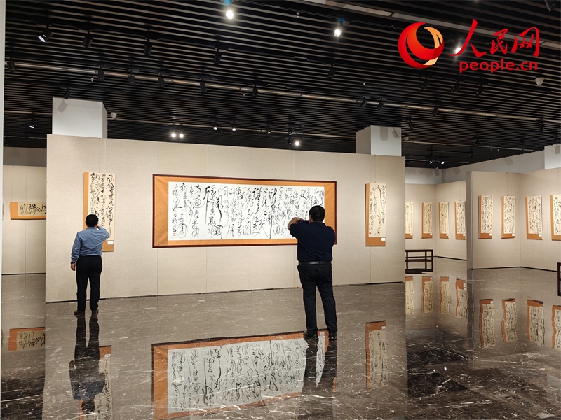 觀眾正在參觀展覽。人民網(wǎng)記者 韋衍行攝