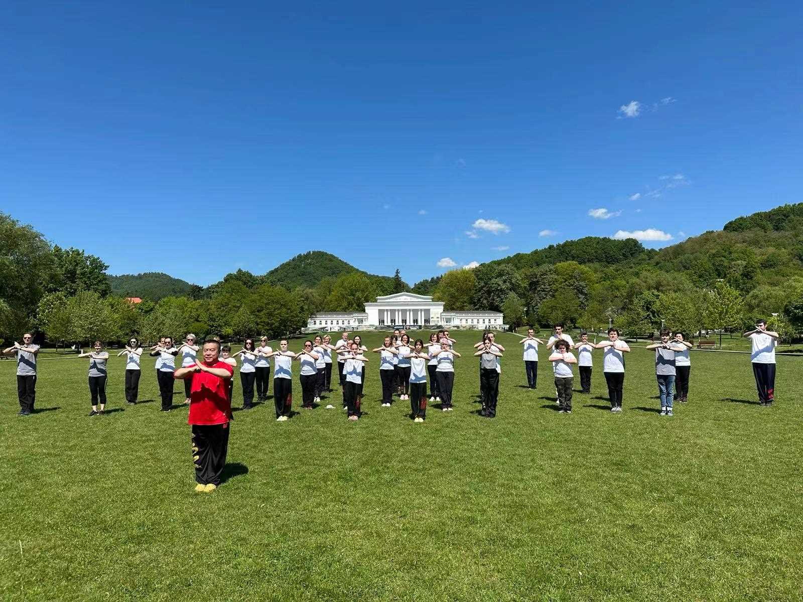 北京體育大學(xué)教授武冬帶領(lǐng)學(xué)員進(jìn)行太極拳演練。布加勒斯特中國文化中心供圖