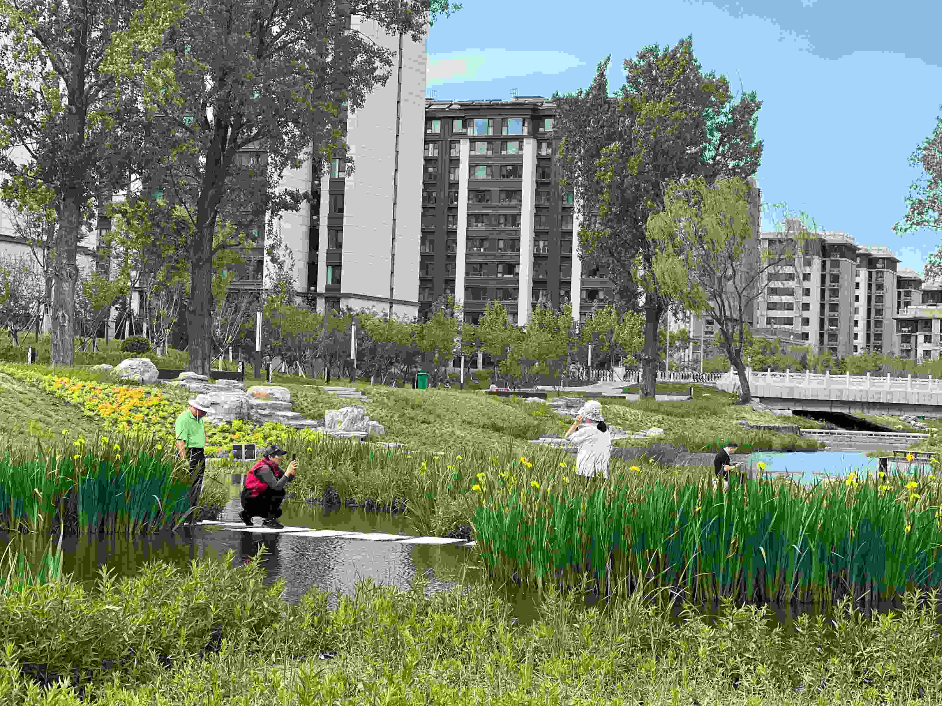 五一渠生態(tài)濱河公園內(nèi)，市民正在拍照留念。人民網(wǎng) 歐陽易佳攝