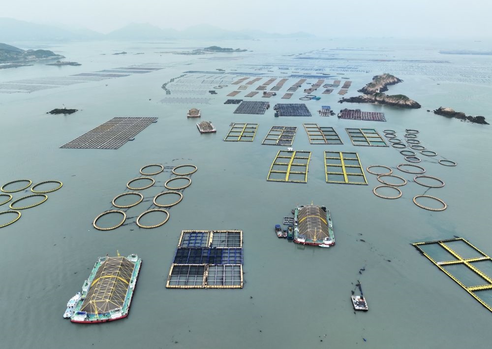 在福建連江定海灣海域，坐落著“定海灣1號(hào)”“定海灣2號(hào)”等深遠(yuǎn)海養(yǎng)殖平臺(tái)（2024年5月7日攝，無人機(jī)照片）。新華社記者 林善傳 攝