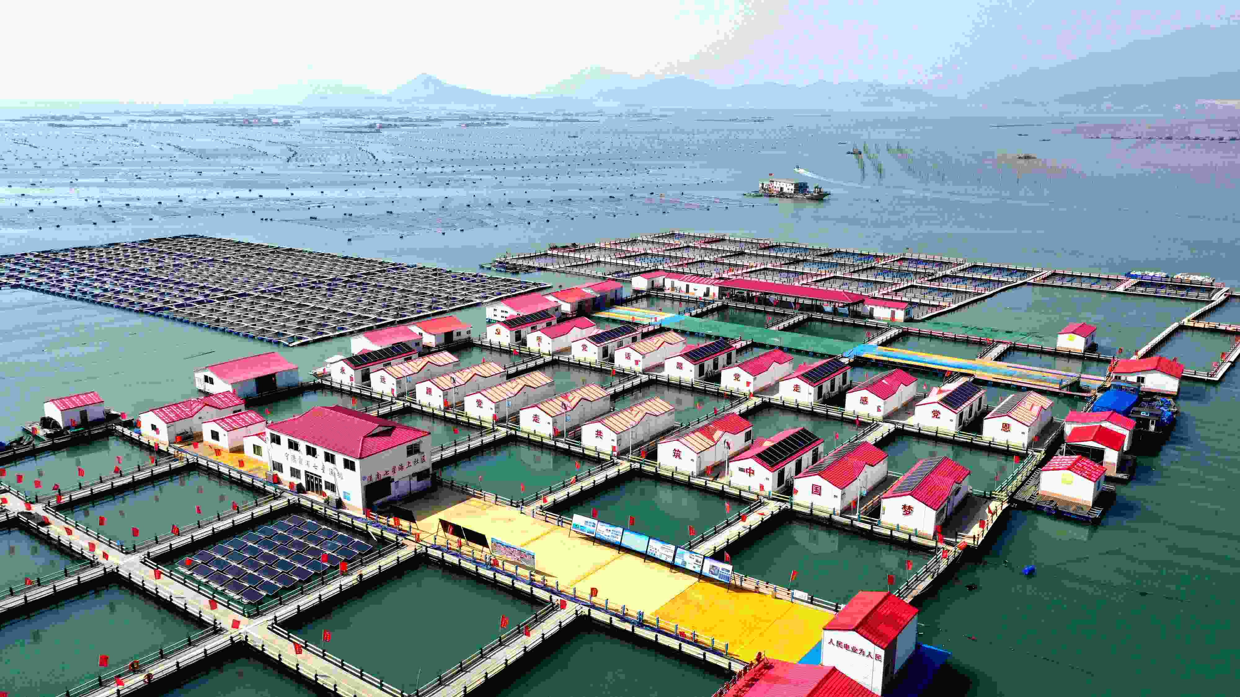 2024年3月20日，福建省寧德市，霞浦縣溪南鎮(zhèn)七星村漁排養(yǎng)殖示范區(qū)，漁民駕駛養(yǎng)殖船進行海參養(yǎng)殖作業(yè)。