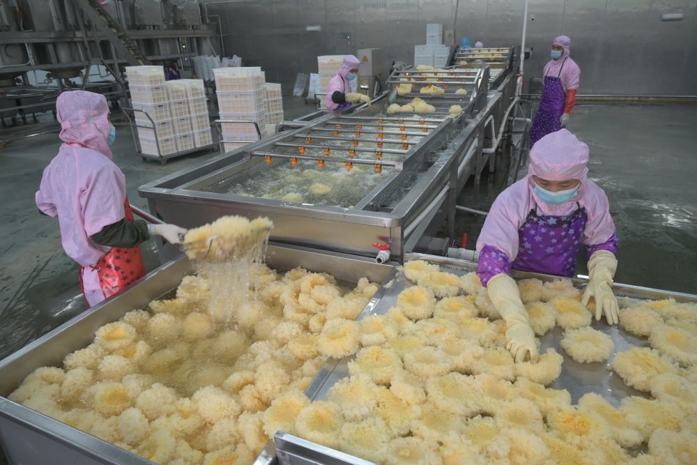 2024年5月10日，在福建省寧德市古田縣，一家食品公司的工作人員在挑選清洗銀耳。新華社記者 林善傳 攝