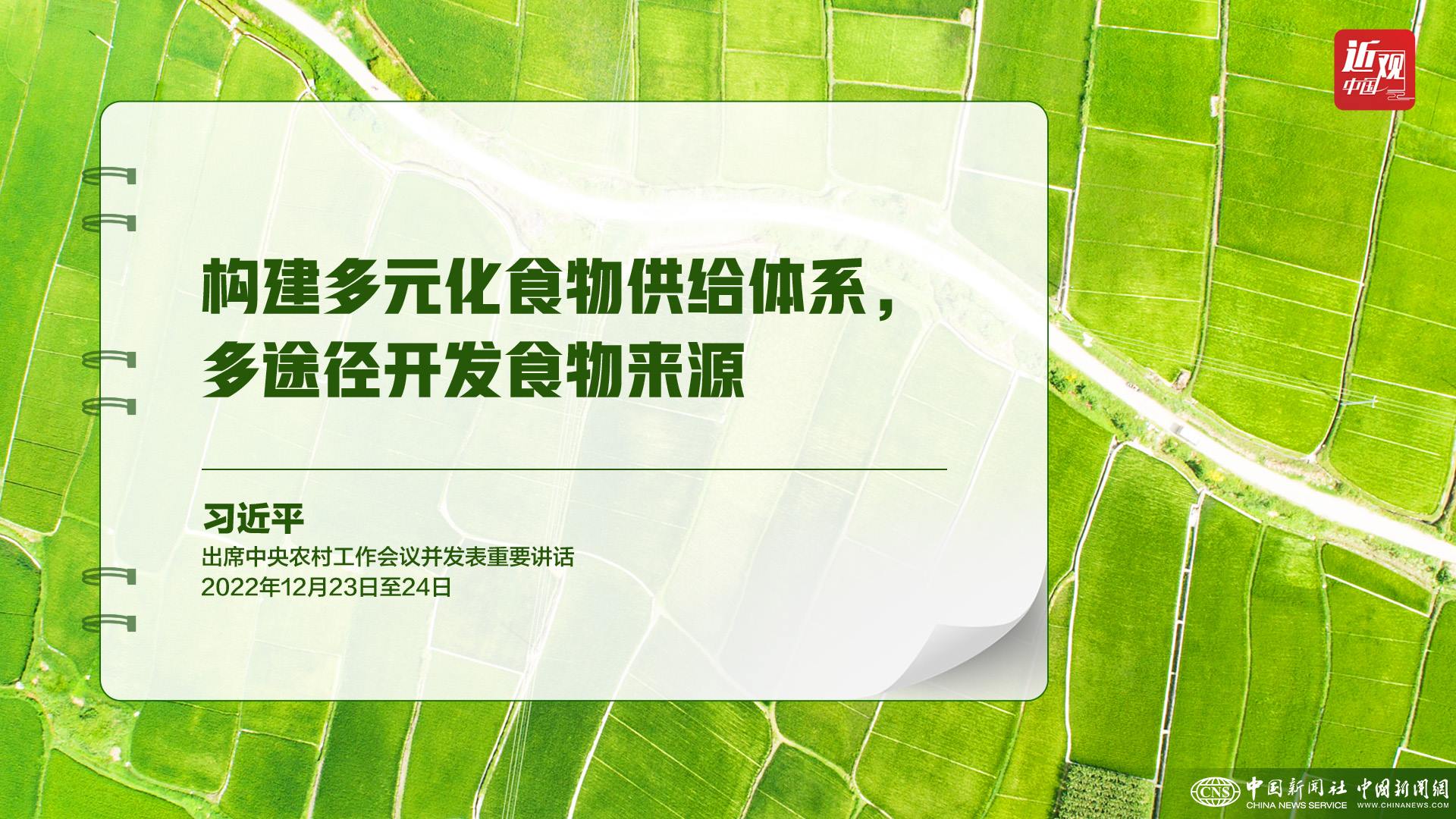 習(xí)近平：樹立大食物觀，構(gòu)建多元化食物供給體系