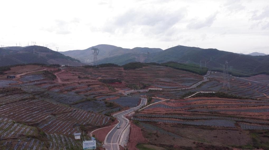 火普村的藍莓基地一角（無人機照片）。新華社記者 尹恒 攝