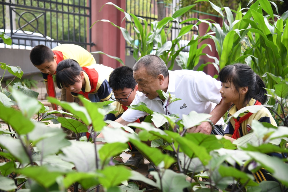 5月31日，老師帶領(lǐng)學(xué)生在之江小學(xué)勞動實踐基地學(xué)習蔬菜知識。新華社記者 胥冰潔 攝