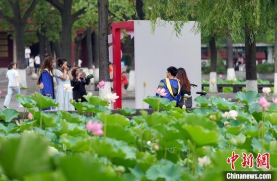 6月19日，時值一年畢業(yè)季，四川大學(xué)望江校區(qū)荷花池里的荷花盛開，成為了畢業(yè)生們的打卡圣地，吸引了眾多畢業(yè)生拍照留念。圖為畢業(yè)生在荷花池邊拍照留念。中新社記者 安源 攝