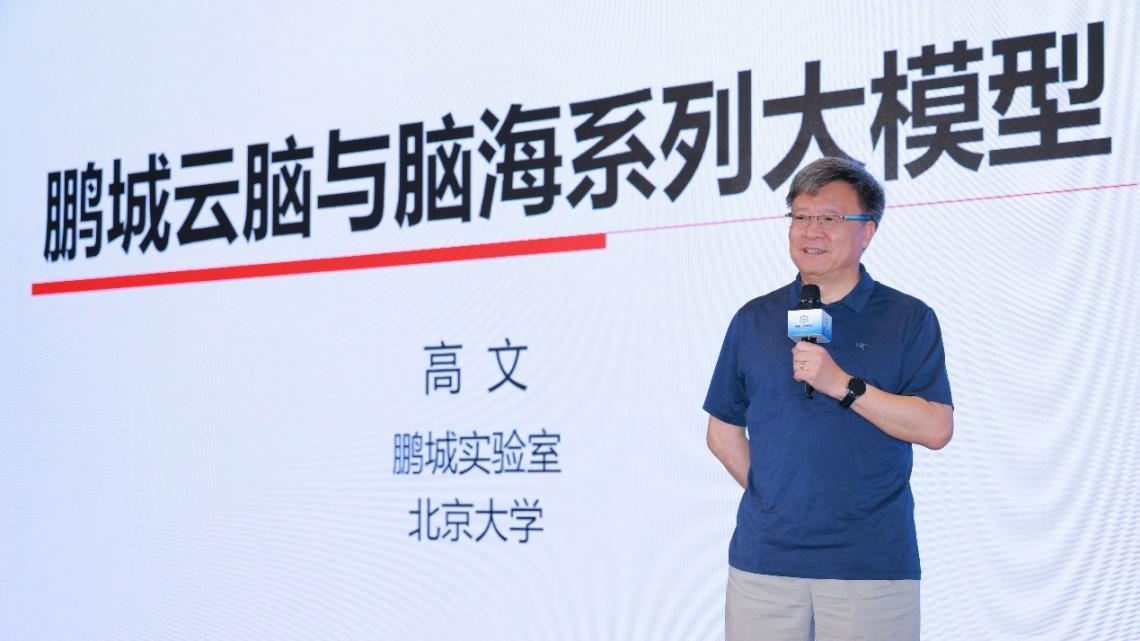 高文院士做大會(huì)特邀報(bào)告。主辦方供圖