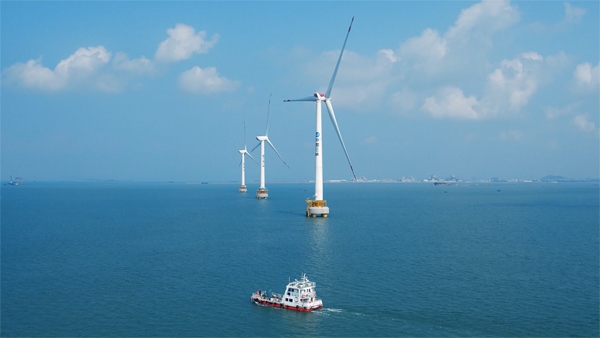 福建興化灣海上風(fēng)電場(chǎng)。受訪者供圖