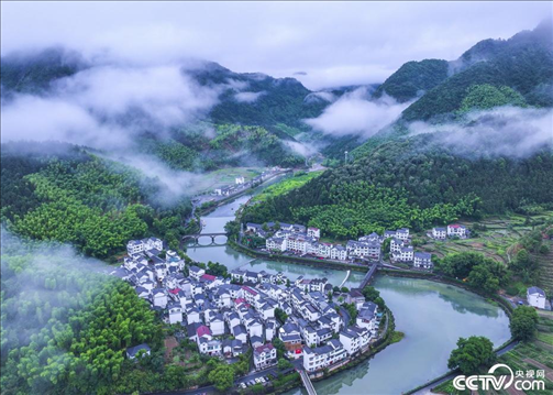 2024年6月19日，浙江省杭州市淳安縣楓樹嶺鎮(zhèn)下姜村，雨后云霧繚繞。