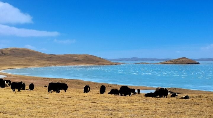在三江源國(guó)家公園黃河源園區(qū)拍攝的扎陵湖風(fēng)光（2022年3月12日攝）。新華社記者 呂雪莉 攝