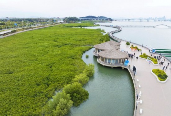 2024年1月23日拍攝的廈門市翔安區(qū)下潭尾紅樹林公園（無人機(jī)照片）。新華社記者 林善傳 攝