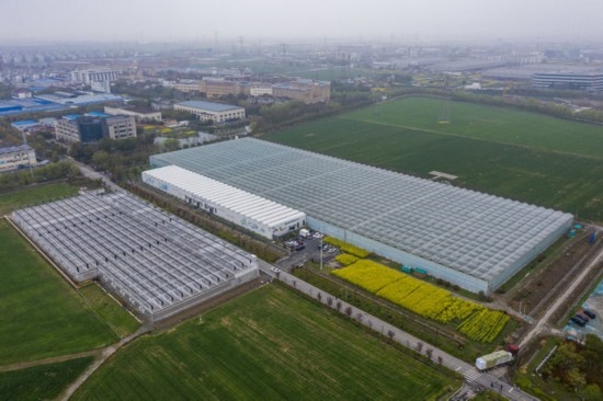 2024年3月28日，空中俯瞰嘉興南湖區(qū)湘家蕩農(nóng)業(yè)數(shù)字化工廠（無人機(jī)照片）。該農(nóng)業(yè)數(shù)字化工廠占地總面積約62畝，包含智慧農(nóng)業(yè)生產(chǎn)、物聯(lián)網(wǎng)智能管理、自動分揀包裝、保鮮儲藏物流、高科技示范展示等五大功能區(qū)，可直接或間接培養(yǎng)帶動新型職業(yè)技術(shù)農(nóng)民500人以上。新華社記者 徐昱 攝