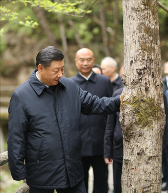 2020年4月，習(xí)近平總書記來到位于商洛市柞水縣的秦嶺牛背梁國家級自然保護(hù)區(qū)，考察秦嶺生態(tài)保護(hù)情況。新華社記者 鞠鵬 攝