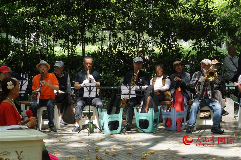 成都居民在公園里演奏歌曲。人民網(wǎng) 王禹蘅攝