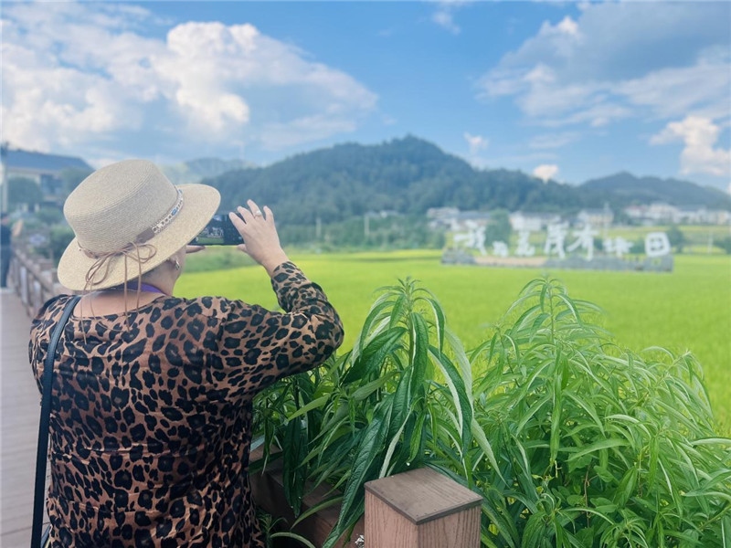 “我在花茂有塊田”，不僅是中國人的詩和遠(yuǎn)方，也是塔吉克斯坦“阿維斯塔”通訊社總編輯占納特洪·庫爾班諾娃的“烏托邦”。（張亞欣攝）