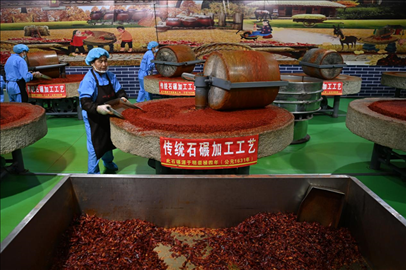 工人用電動石碾加工辣椒面。新華社記者 范培珅 攝