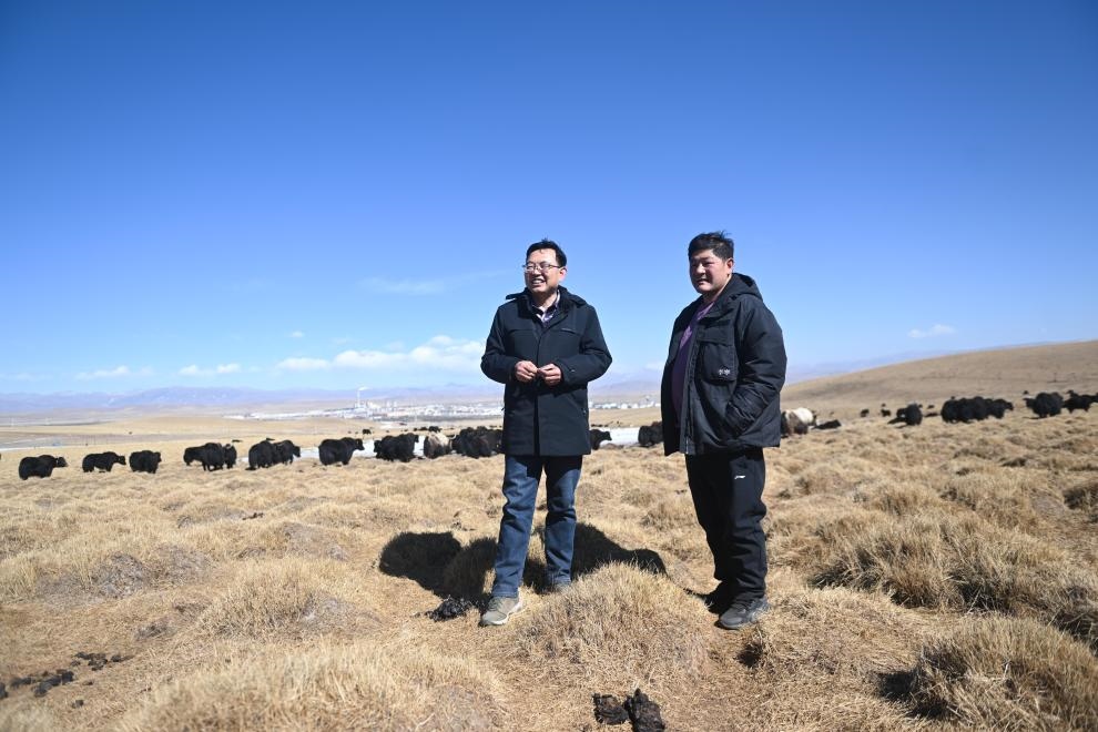 2023年2月24日，在青海省海北藏族自治州海晏縣青海湖鄉(xiāng)達(dá)玉日秀村，全國人大代表董全民（左）查看牧民東知布家的草場。新華社記者 張龍 攝