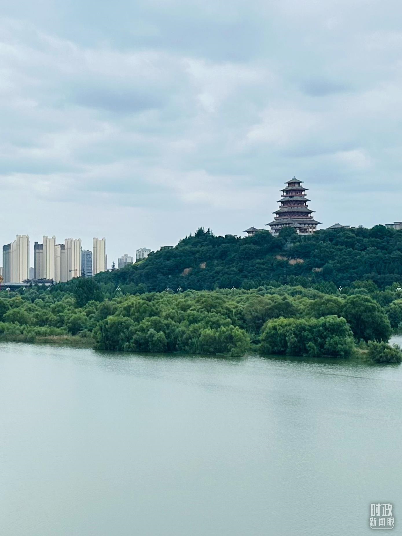 △渭河寶雞段長224公里，目前建成17處渭河灘區(qū)生態(tài)涵養(yǎng)區(qū)。（總臺央視記者范一鳴拍攝）