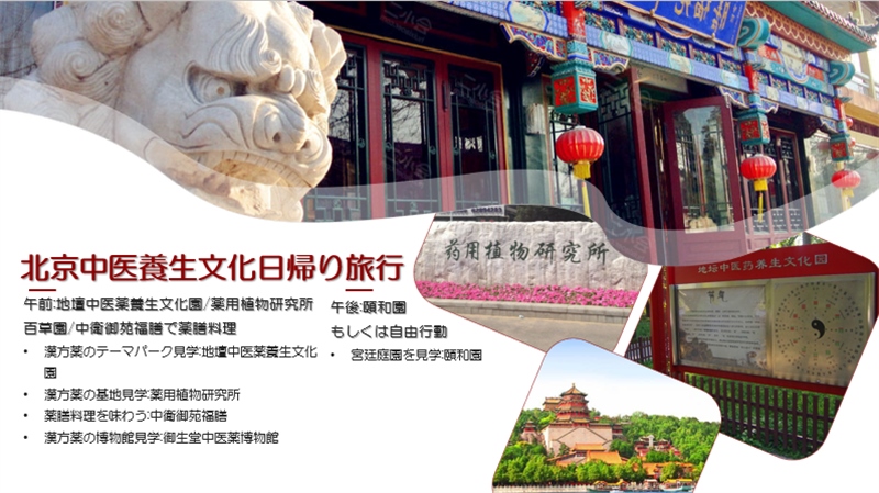 “你好！中國·休閑旅游—中國旅游說明會”宣講材料。中國駐東京旅游辦事處供圖