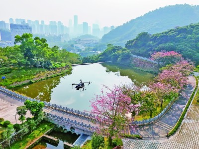 無人機(jī)在深圳塘朗山郊野公園里巡檢。新華社發(fā)