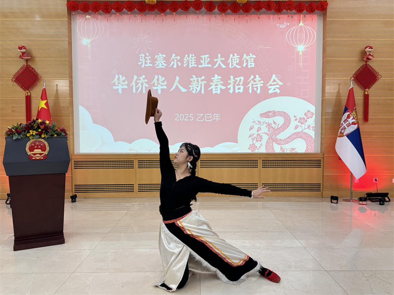 招待會現(xiàn)場表演。諾維薩德孔子學(xué)院供圖