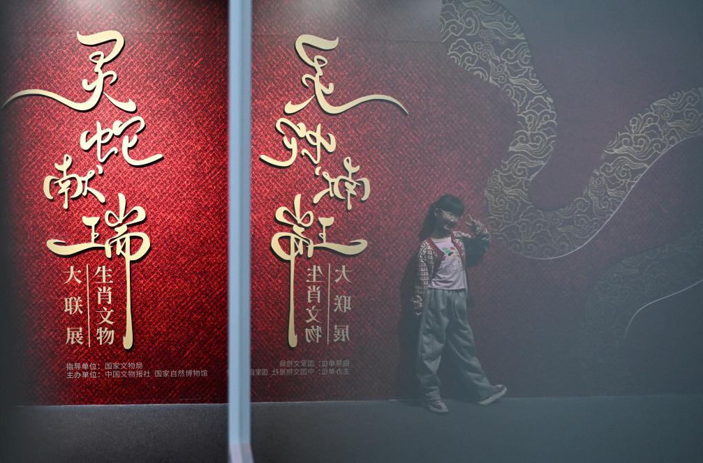 1月18日，一名小朋友在國家自然博物館舉辦的“靈蛇獻(xiàn)瑞——2025乙巳蛇年生肖文物大聯(lián)展”展覽中拍照留念。（新華社記者 陳鐘昊 攝）
