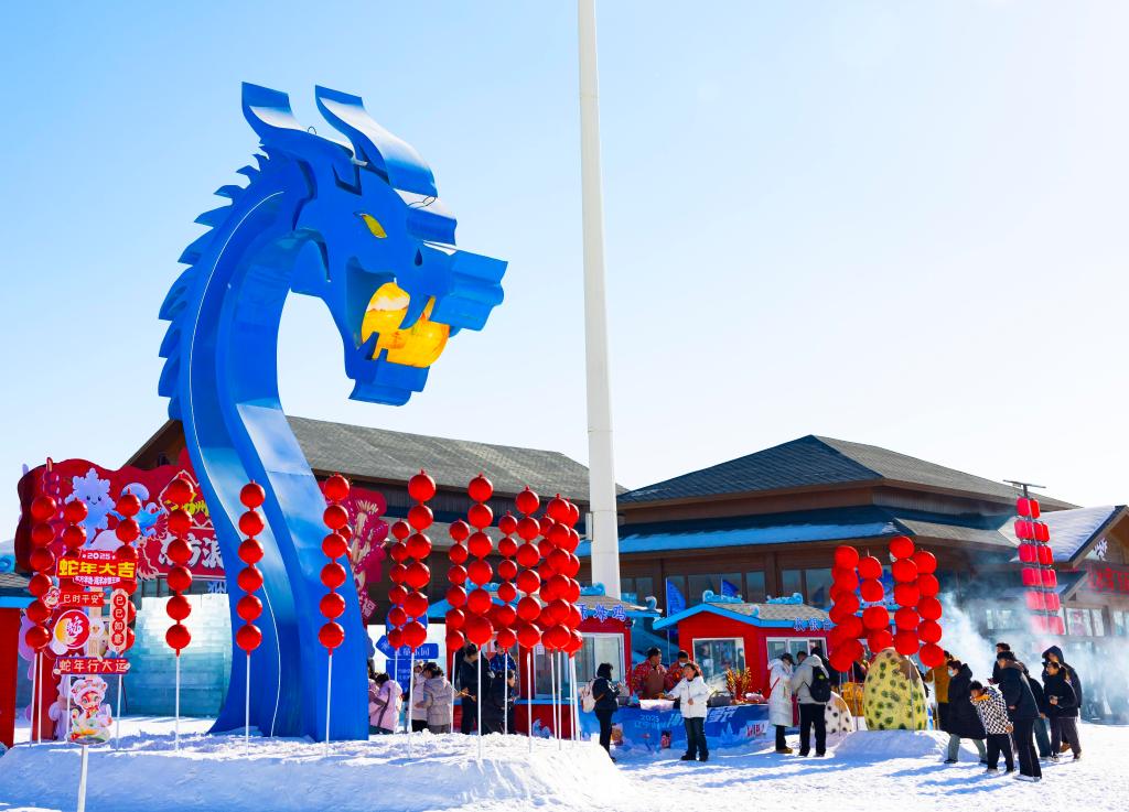 2025年1月，游客在遼寧錦州東方華地城海洋冰雪王國內(nèi)游覽。新華社發(fā)