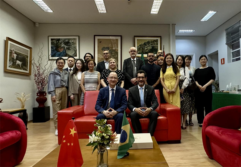圖為參加座談會的來賓合影留念。 圣保羅州立大學(xué)孔子學(xué)院供圖