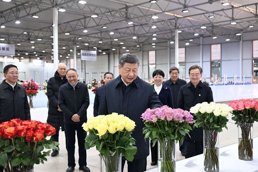 △3月19日下午，習(xí)近平總書記在云南麗江現(xiàn)代花卉產(chǎn)業(yè)園展廳考察時，察看鮮切花品種展示。