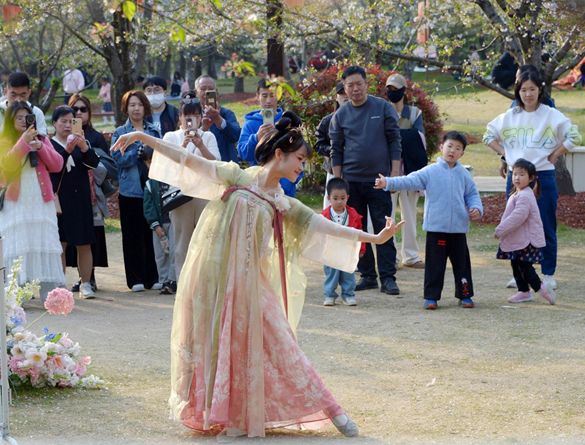 清明假期期間，上海顧村公園櫻花島上，游客在觀賞國風(fēng)漢服快閃表演。（圖片來源：視覺中國）