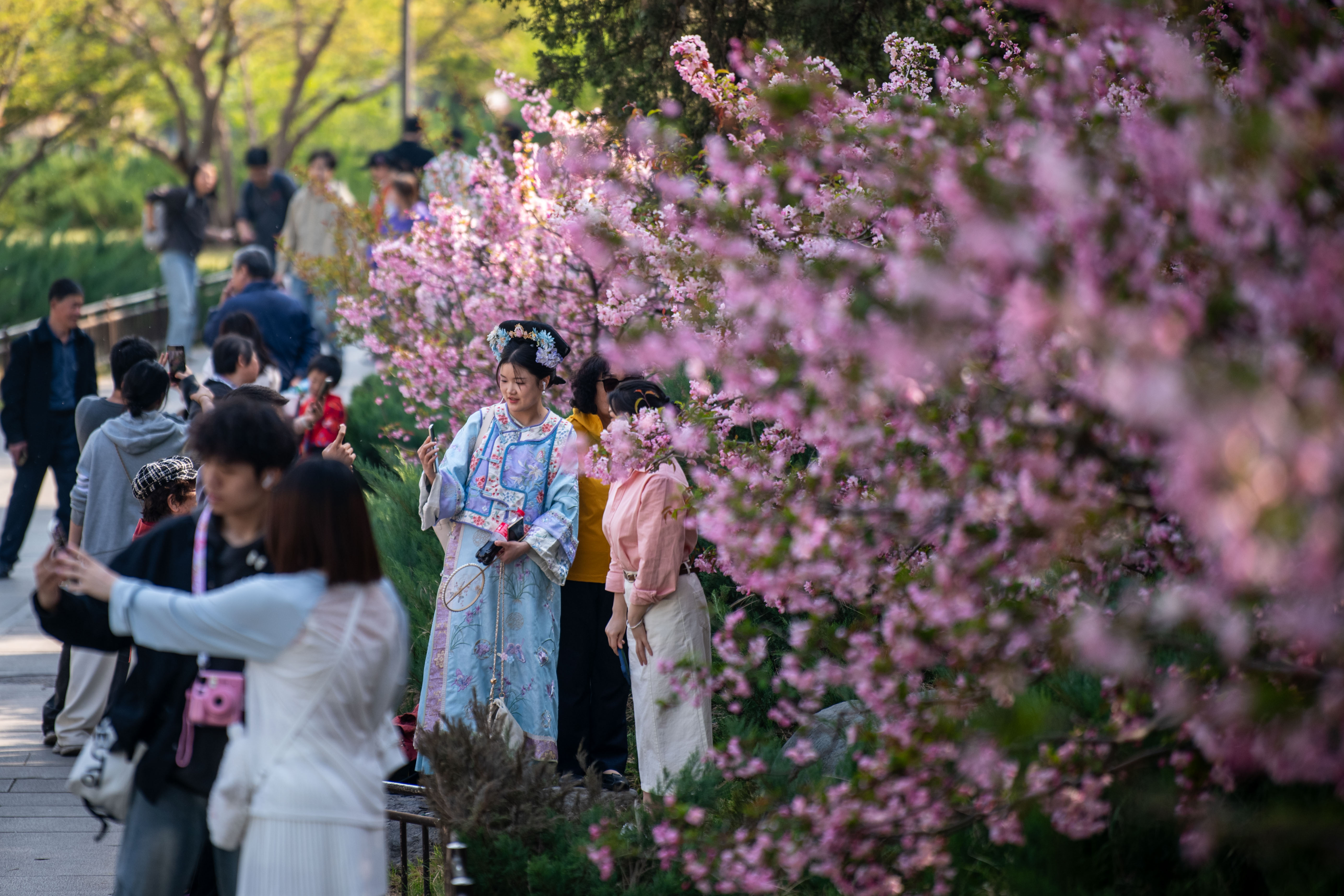 2025年4月6日，北京北海公園，滿園春色醉游人。人民網(wǎng)記者 翁奇羽攝