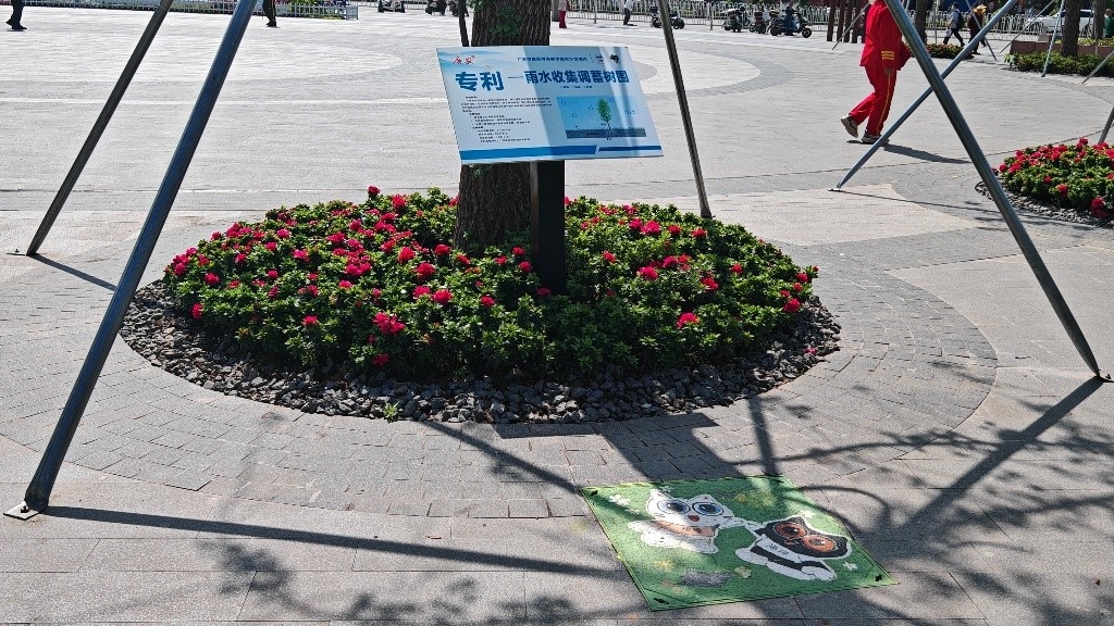 廣安“雨水收集調蓄樹池”，已在市內公園落地運用。受訪者供圖