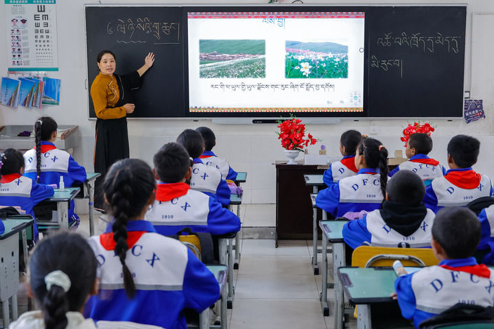 2024年9月27日，在四川省甘孜藏族自治州道孚縣城關(guān)第一完全小學(xué)，采取“藏加模式”教學(xué)的五年級一班的藏語文課上，準(zhǔn)木周老師指導(dǎo)藏族學(xué)生以家鄉(xiāng)草原風(fēng)物為主題寫作藏語文作文。新華社記者 沈伯韓 攝