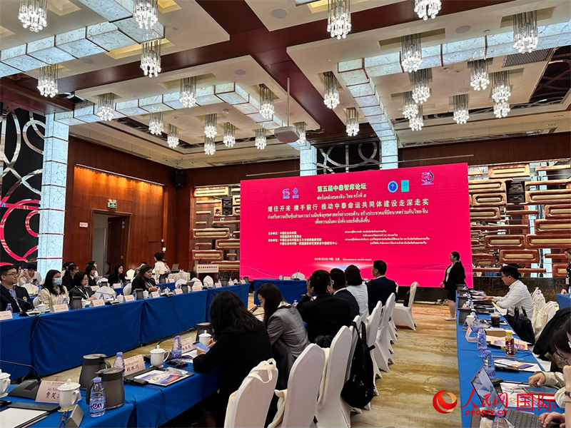 第五屆中泰智庫(kù)論壇現(xiàn)場(chǎng)。人民網(wǎng) 孫書(shū)宇攝
